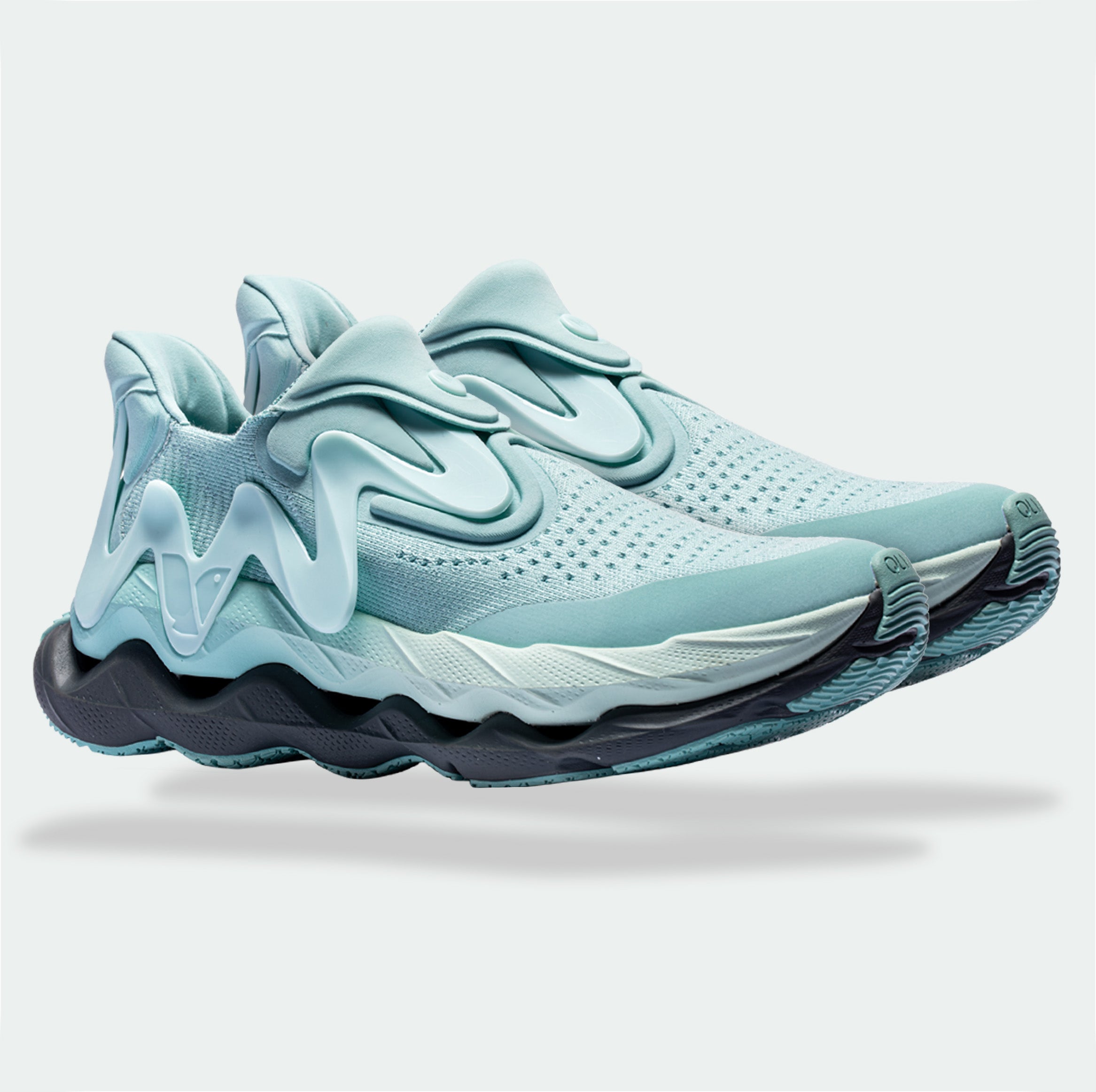 THE ENDVR COLLECTION